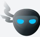 Ninja AI